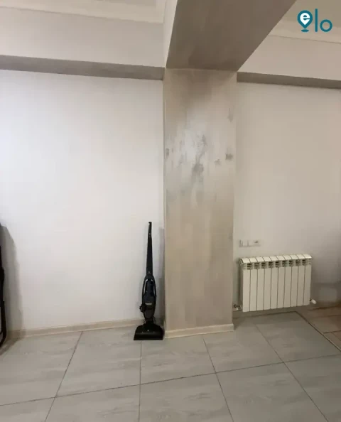 1780494850_266e9ed32f8805d7.webp