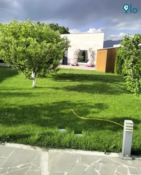 1781046500_cff55be48c55e0aa.webp